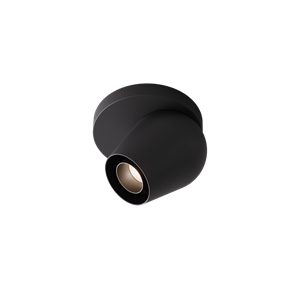 Intra Lighting Pixy C/W Spot Matt Sort