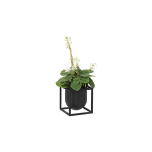 Audo Kubus Blomsterpotte 10 Sort
