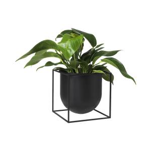 Audo Kubus Blomsterpotte 23 Sort