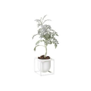 Audo Kubus Blomsterpotte 10 Hvit