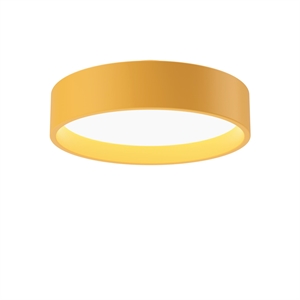 Louis Poulsen LP Circle Taklampe Opal Diffuser Ø26 3000K & Dali/ Switch- Gul