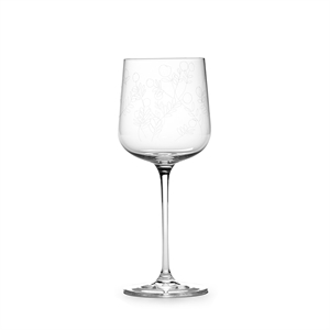 Serax MF hvit frontrute Transparent