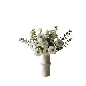 Botané Sateng Hvit
