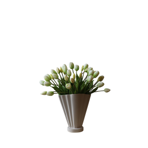 Botané Tulipan Grand Bouquet Hvit