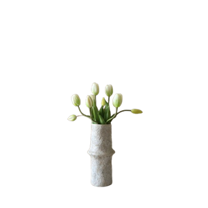 Botané Tulipanbukett Hvit