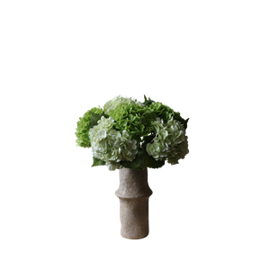 Botané Hortensiabukett Grønn