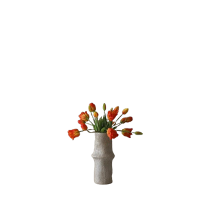 Botané Tulipan Blandet Bukett Oransje
