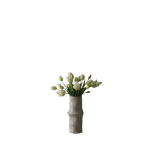 Botané Tulipan Blandet Bukett Hvit
