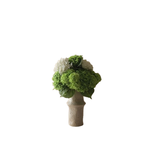 Botané Nyanser av grønt Grønn