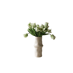 Botané Liten Papegøyetulipanbukett Hvit