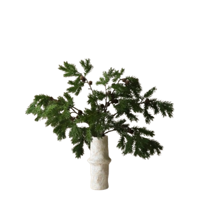 Botané Nordisk furubukett Grønn