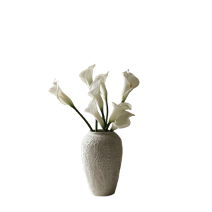 Botané Calla Lily Bukett Hvit