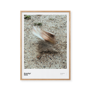 Peléton Gravity/Forces 70x100 Plakat