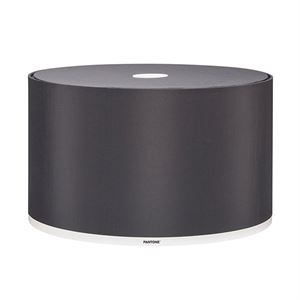 Pantone Mintaka 45 Skjerm Grå