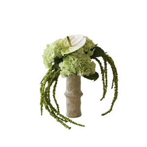 Botané Deggdråpe Symfonibukett Grønn/ Hvit