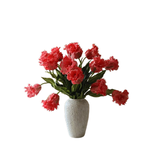 Botané Papegøyetulipaner Bukett Rød